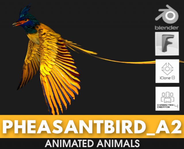 PheasantBirdA2 Modello 3D .c4d .max .obj .3ds .fbx .stl .blend 