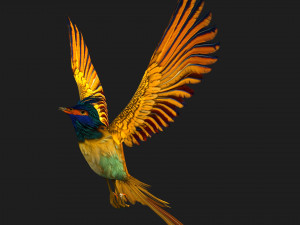PheasantBirdA2 Modello 3D