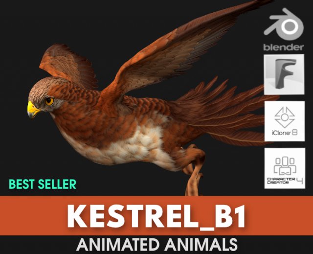 KestrelB1 3Dモデル .c4d .max .obj .3ds .fbx .stl .blend 