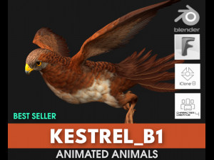 KestrelB1 3D Модель