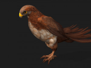 KestrelB1 3Dモデル