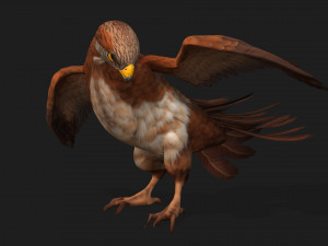 KestrelB1 3Dモデル