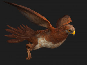 KestrelB1 3Dモデル