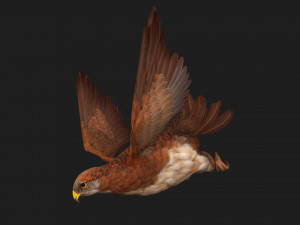 KestrelB1 3Dモデル