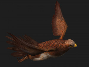 KestrelB1 3Dモデル
