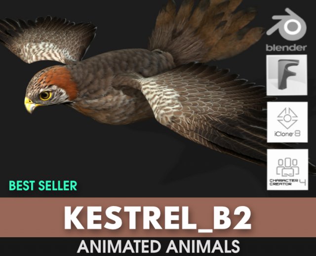 KestrelB2 3D Model .c4d .max .obj .3ds .fbx .stl .blend 