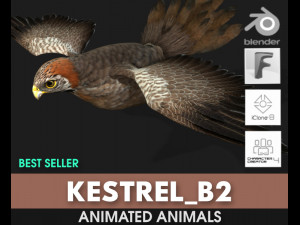 KestrelB2 3D Model
