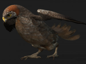 KestrelB2 3D Model