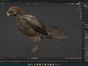 KestrelB2 3D Model