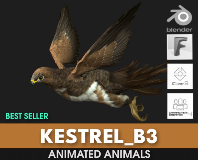 KestrelB3 3D 모델 .c4d .max .obj .3ds .fbx .stl .blend 