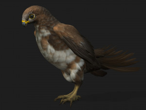 KestrelB3 3D 모델