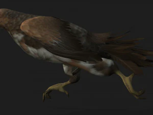 KestrelB3 3D Model