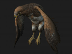 KestrelB3 3D 모델