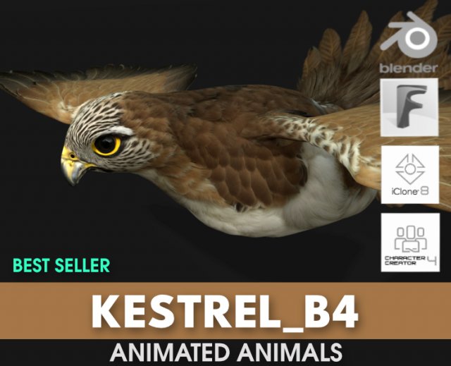 KestrelB4 3D 모델 .c4d .max .obj .3ds .fbx .stl .blend 