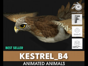 KestrelB4 3D Модель