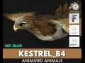 KestrelB4 3D Model