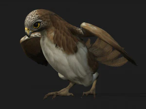 ケストレルB4 3Dモデル