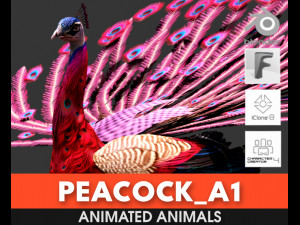 Peacock-A1 3Dモデル