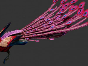 Peacock-A1 3D Model