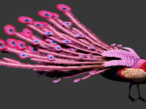 Peacock-A1 3D Model
