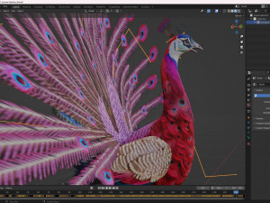 Peacock-A1 Model 3D