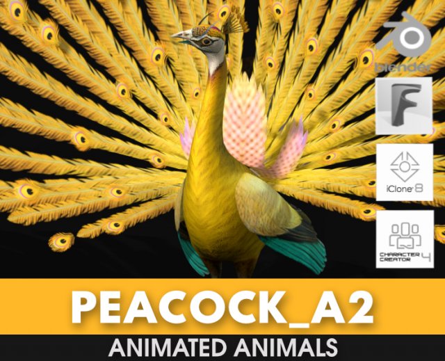 PeacockA2 3D Model .c4d .max .obj .3ds .fbx .stl .blend 