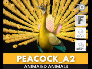 PeacockA2 3D Model