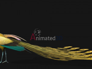 PeacockA2 3D Model
