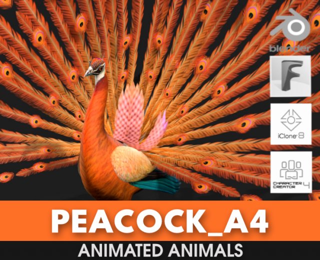 PeacockA4 Model 3D .c4d .max .obj .3ds .fbx .stl .blend 