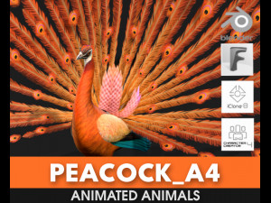 PeacockA4 3D Model