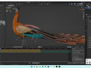 PeacockA4 Model 3D