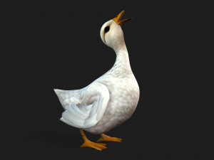 DuckA1 Modello 3D