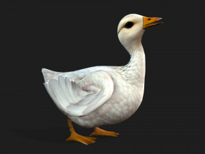 DuckA1 Modello 3D