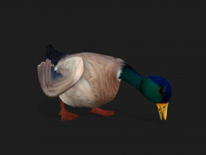 DuckA2 Modelo 3D