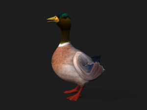 DuckA3 Modelo 3D