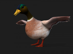 DuckA3 Modelo 3D