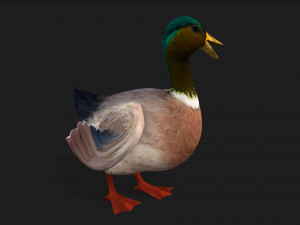 DuckA3 Modelo 3D