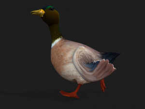 DuckA3 Modelo 3D