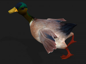 DuckA3 Modelo 3D