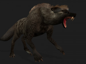 HyenasA1 3D Model