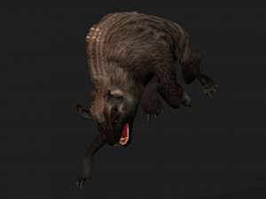 HyenasA1 3D Model