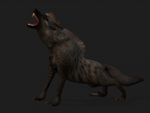 HyenasA1 3D Model