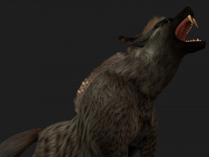 HyenasA1 3D Model