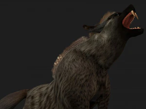 Hy&auml;nenA1 3D Modell
