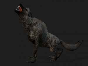 HyenasA2 3D Model