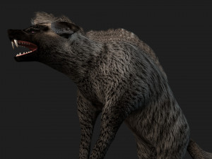 HyenasA2 3D Model