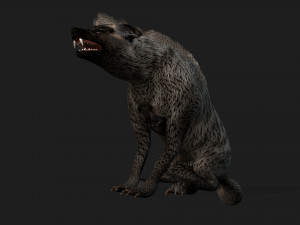HyenasA2 3D Model