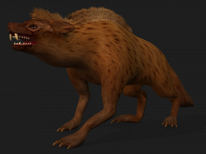 HyenasA4 3D Model