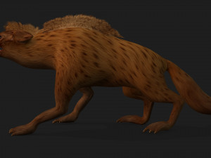 HyenasA4 3D Model