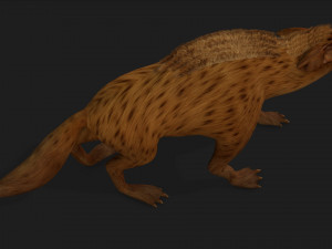 HyenasA4 3D Model